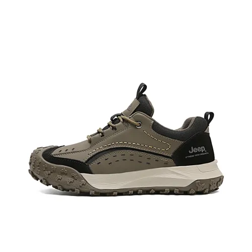 JEEP Низкий Топ Уличная Обувь Мужская Хаки