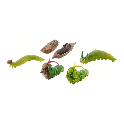 Ocean Church Insect 3D-эффект Энциклопедия Переиздание Счастливый Рисунок Цельная Коробка 5 шт