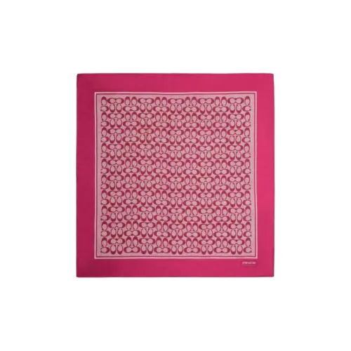 COACH Шарфы из шелка с узором "Тутовый шелк" женские Питайя