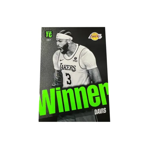 PANINI Lakers Anthony Davis AD TC Collection Teca Unstoppable Игрок Карта Rare Card Спортивные карты 1 шт