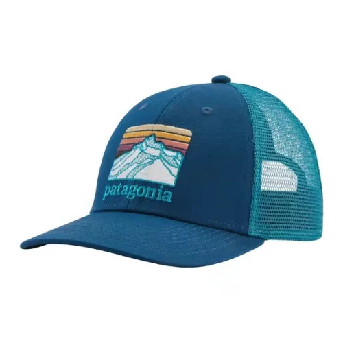Patagonia Organic Cotton Кепки Унисекс Синий