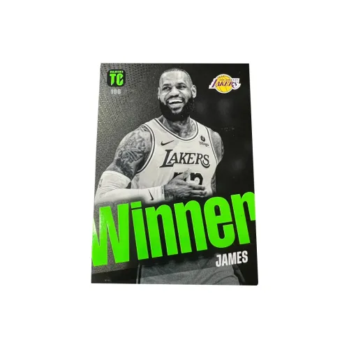 PANINI Los Angeles Lakers LeBron James The King TC Collection Teca Unstoppable Баскетбольная Звезда Карта Rare Card
