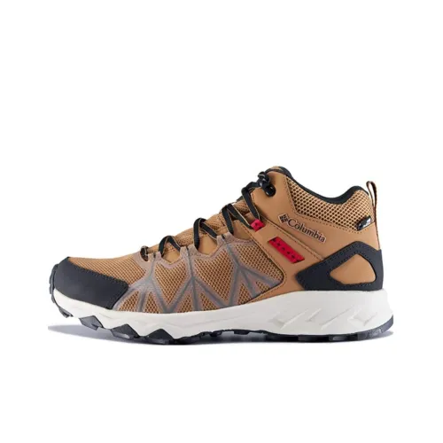 Columbia Peakfreak 2 Беговые кроссовки MID Топ Умбра/Черный/Белый Мужской