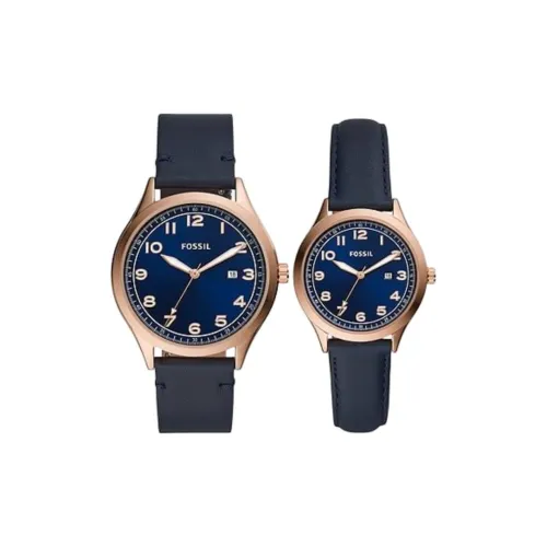 FOSSIL Наручные часы Кварцевый механизм Кожаный ремешок 42 мм Синий циферблат Унисекс