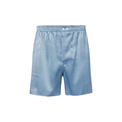 ZIMMERLI Men's Blue Boxers