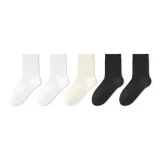 5 пар (2 белых + 1 экрю + 2 черных)