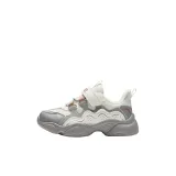 Слоновая кость/Лустер Серый/Голубино-серый