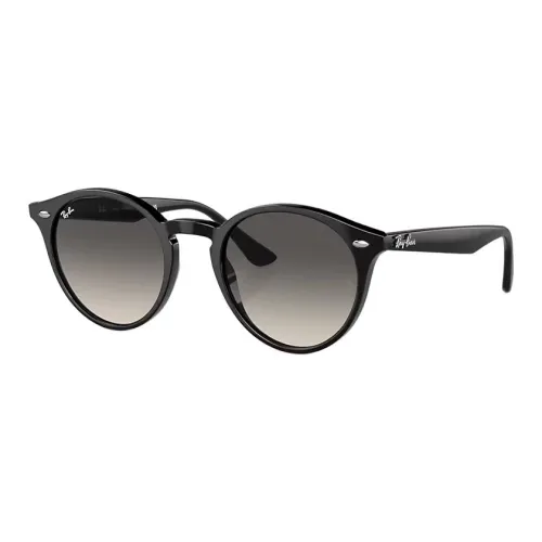 RayBan Propionate SALT Круглые Солнцезащитные очки Унисекс Черный