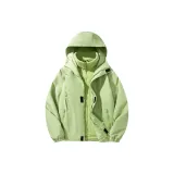 Фрукт Зеленый 3-в-1