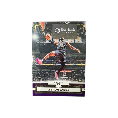 PANINI Лейкерс LeBron James The King PHOTO Collection BIG Slam Dunk Selection Dominant Tekka Star Card Rare