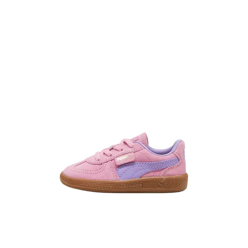 PUMA Palermo Series Низкие Топы Обувь для малышей Розовый Фиолетовый Infant и Toddler