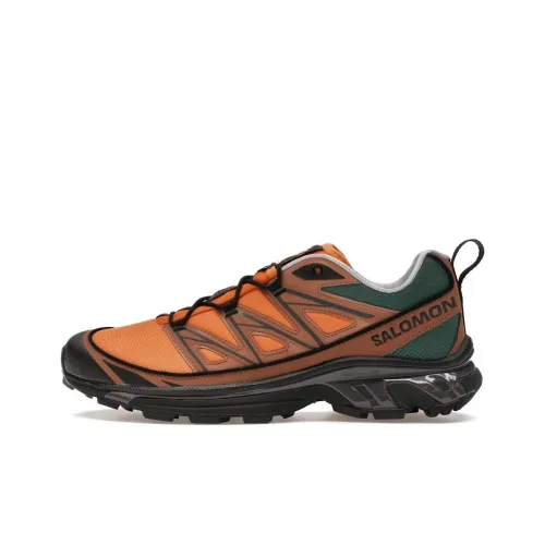 SALOMON XT 6 Амортизаторы Slip-resistant Низкий Топ Повседневная обувь Унисекс Коричневый