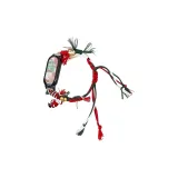 Санта-Клаус