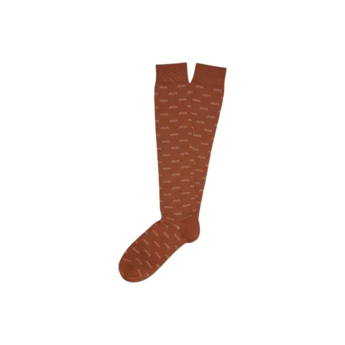 Ermenegildo Zegna 1 пачка Лист Коричневый Мужской MID Носки до икры