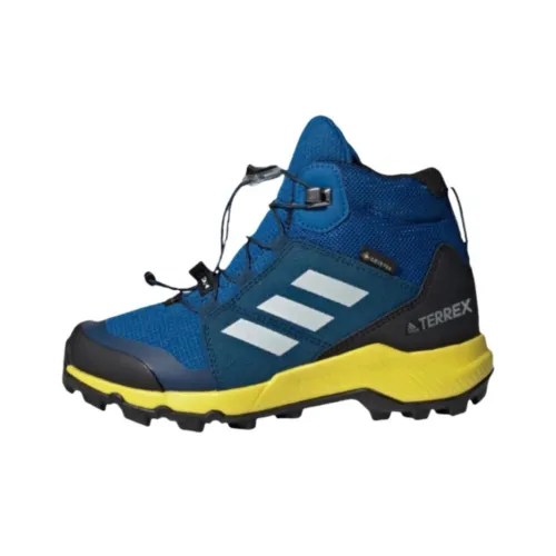 adidas Terrex MID GTX Противоскользящий устойчивый к истиранию MID Топ Уличная обувь Унисекс Синий