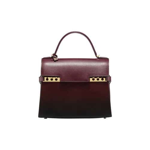 Delvau Tempête OPERA Рифленая Телячья Кожа Сумка через плечо Сумка среднего размера Женская Темно-красная