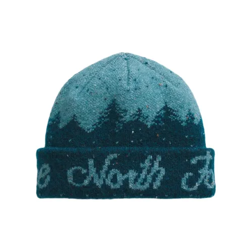 THE NORTH FACE Переработанный полиэстер Шапки-бини Унисекс Синий