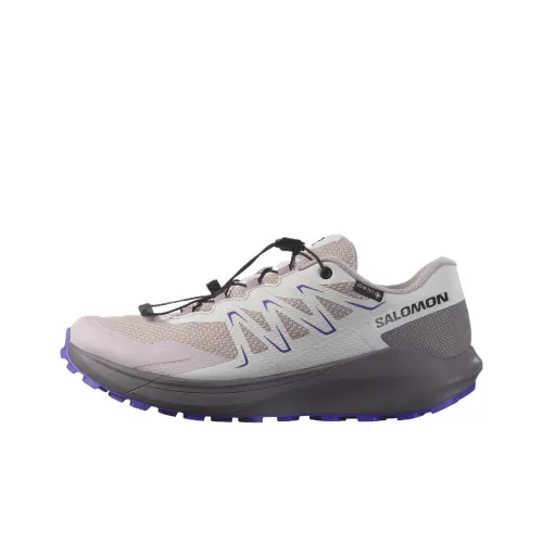 SALOMON TEMPER Gore TEX Противоскользящие Устойчивые к истиранию Низкие Кроссовки для бега по пересеченной местности Женские Серые