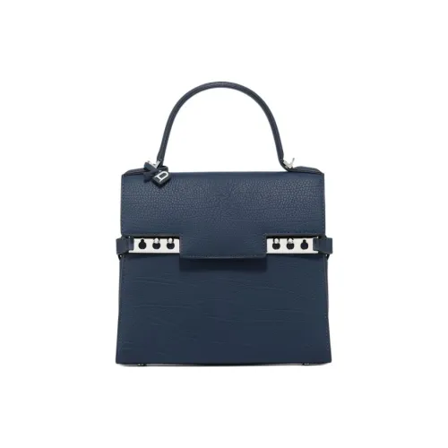 Delvau Tempête Рельефная Телячья Кожа Сумка через плечо Сумка Женская Прусский Синий Толстовка