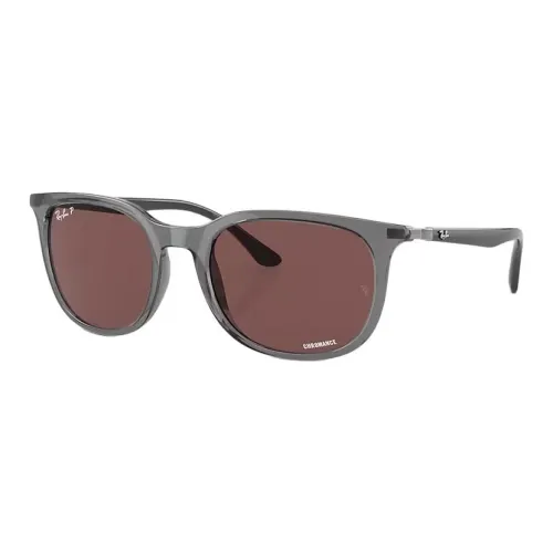 RayBan Ejection Molding OVAL SUNGLASSES Унисекс Серый