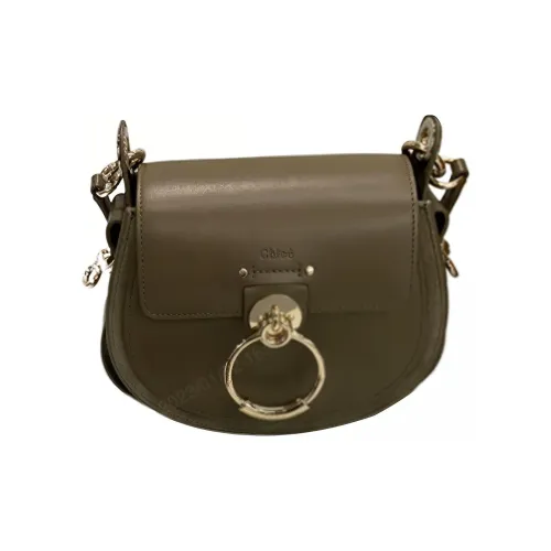 Chloe Tess Яркий Телячья кожа с Замша Телячья кожа Седло Сумка Сумка через плечо Сумка через плечо Маленькая Женская Темный хаки