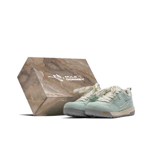 Mule Donkey Анти-Низкая Юбка И Уносливые Кроссовки для Скейтбординга Унисекс Набор в Коробке