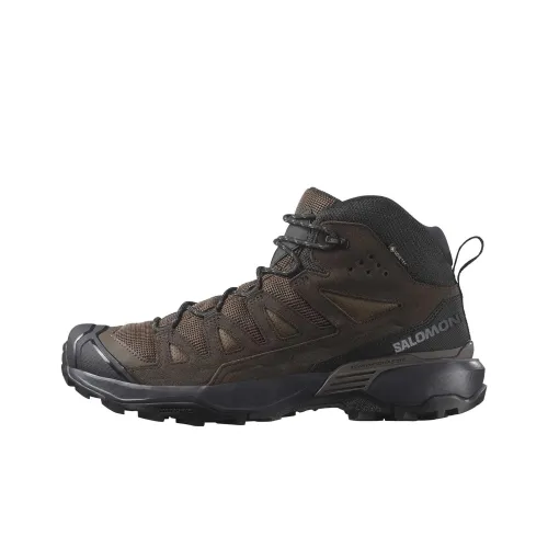 Salomon X Ultra 360 Street Shoe MID Top Коричневый Мужской
