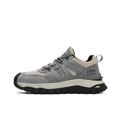 JEEP SPIRIT Низкий Топ Уличная Обувь Мужская Альпинистская Серый