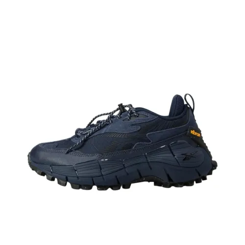 Emmi x Reebok Zig Kinetica 2,5 Low Топ Повседневная обувь Унисекс Синий