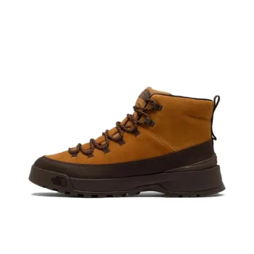 THE NORTH FACE GLENCLYFFE Ботильоны Коричневый Мужской
