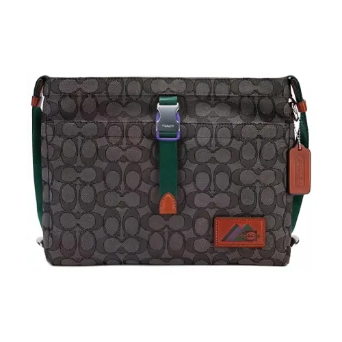 COACH Messenger Телячья кожа Сумка через плечо Большая Мужская Угольный Черный