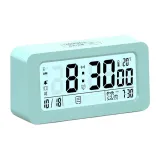 Светло-зеленый [Версия с батареей] Тихий режим + Вибрационный эффект