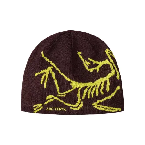 Arcteryx Шерсть Бини Унисекс Темно-Коричневый