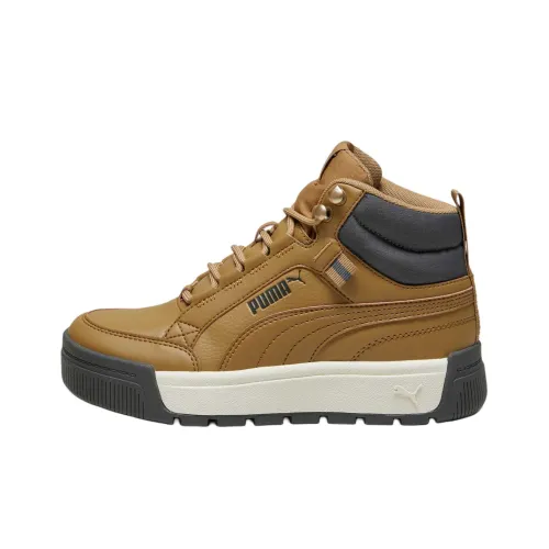 PUMA Tarrenz SB High Топ Детские Скейтбординги Коричневый Подростки