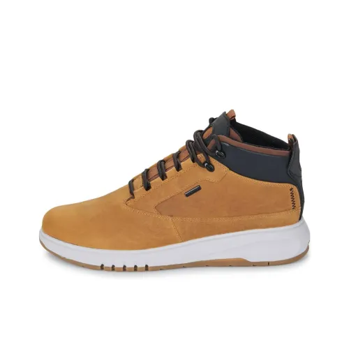 GEOX Casual Высокий Топ Коричневый Мужской