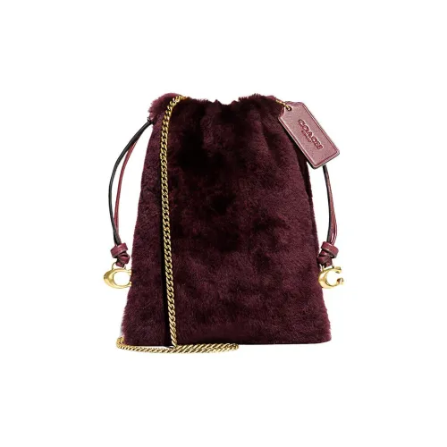 COACH Pouch Овчина Reachable Сумка Сумка через плечо Сумка через плечо Маленькая Женская Темно-Коричневая