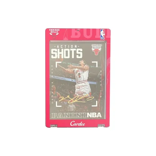 PANINI Спортивные карты