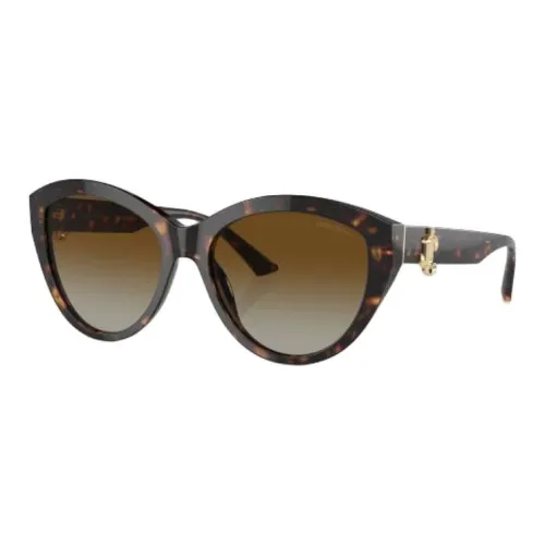 Jimmy Choo Ацетатные солнцезащитные очки "Кошачий глаз" Мужские Коричневые