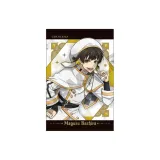 Мегуру Бачира