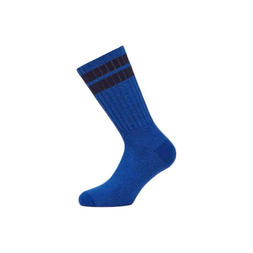 Ermenegildo Zegna 1 шт Синий Унисекс MID Носки до икры