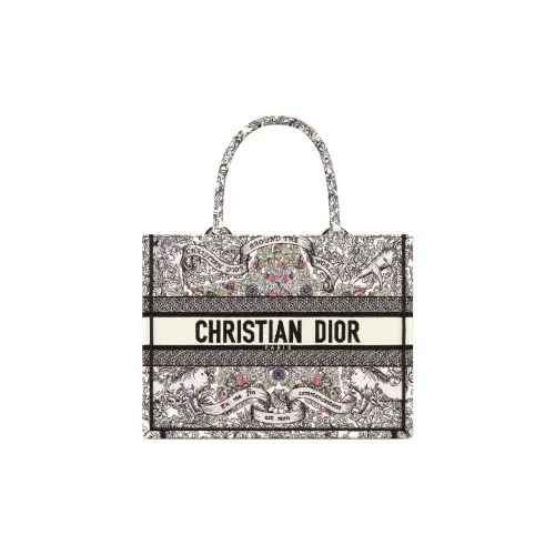 DIOR BookTote Ткань Тоут Сумка Сумка для покупок Сумка среднего размера Женская Многоцветная