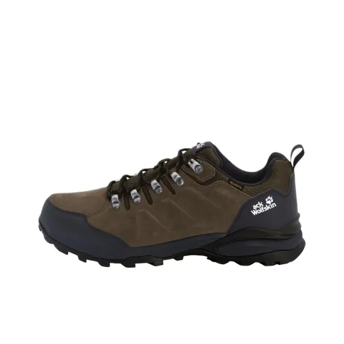 JACK WOLFSKIN Альпинистские и туристические ботинки, низкий верх, черный, коричневый, мужской