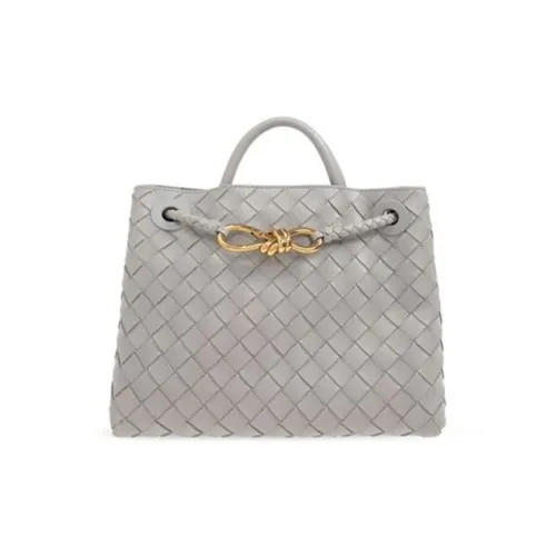 Bottega Veneta Andiamo series Овчина Сумка через плечо Сумка Маленькая Женская Серого цвета