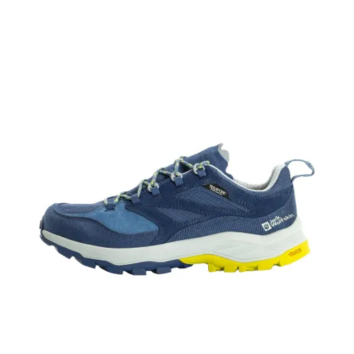 JACK WOLFSKIN Альпинистские и туристические ботинки Низкие Синий Мужской