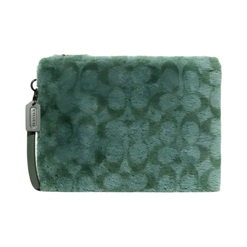 COACH Charter Шерсть Wa Перчаточная дубленая кожа Обхват запястья Сумка Клатч Большой Женские Зеленый