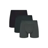 3 пачки кипариса MULTI/Кипарис многоцветный