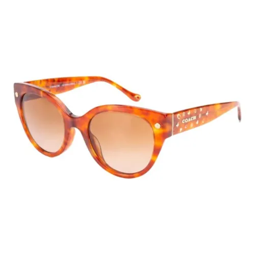 COACH Пластиковая оправа Кошачий глаз Солнцезащитные очки Женские Черепаховый