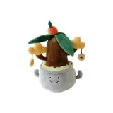 Деньги Дерево Вазон Растение - 25 см