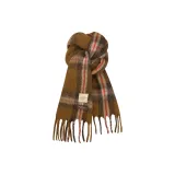 Верблюжий цвет