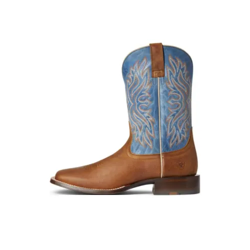 ARIAT Ботильоны Коричнево-Синие Мужские